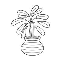 Vector outline house plant in pot. Indoor home plant with leaves. Cacti for home and interior. Botanical doodle linear black and white illustration isolated on white background.