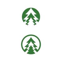 Cedar tree vector icon illustration