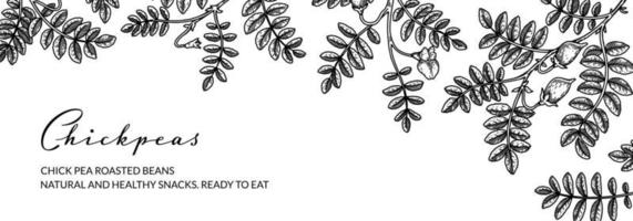 Hand drawn chickpeas botany background. Vector illustration in sketch style. Packaging design