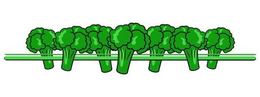 Horizontal border, edge, bright green ripe pieces of broccoli, vector illustration in cartoon style on a white background