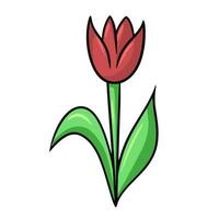 Red tulip flower with leaves, doodle, vector illustration in cartoon style on white background