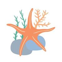 Starfish on seabed with rocks and algae. vector