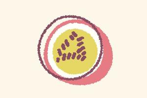 Vector vintage illustration of passion fruit in hand drawing style. Vector poster of passion fruit in retro style. Tropical fruit.