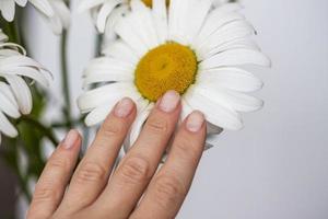 A woman's hand touches a daisy. Medium plan, selective snapshot. Selective focus. The beauty industry. photo