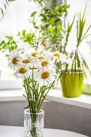 A bouquet of large daisies in a vase on a white background. Medium plan, selective snapshot. Selective focus. photo