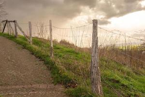 camino en el campo al cielo foto