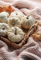 White pumpkins and autumn leaves on a wicker tray. photo