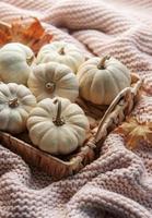 calabazas blancas y hojas de otoño en una bandeja de mimbre. foto