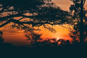 Sunset golden hour in Kenya safari photo