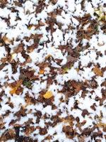 The first snow on fallen leaves in the park in late autumn or early winter. A scene of winter or late autumn, beautiful nature. The first snowfall in a bright colorful city park in autumn. photo