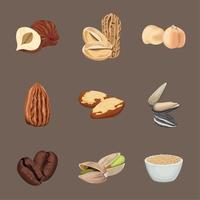 nine nuts and seeds vector