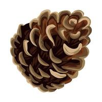 christmas pine cone vector