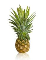 Fresh pineapple on white photo