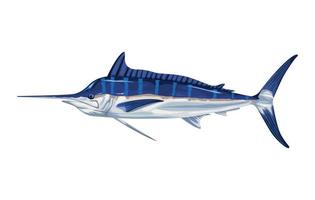 marlin marine life animal vector