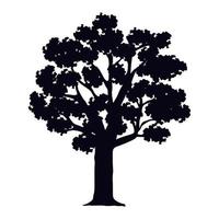 tree plant forest silhouette vector