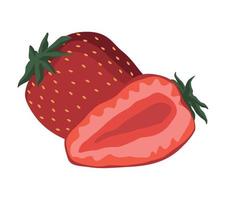 fresh strawberry fruit healthy vector