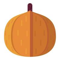 pumpkin fresh vegetable vector