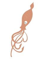 squid sealife animal vector