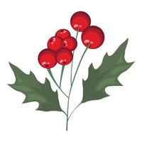 mistletoe seeds and leafs vector