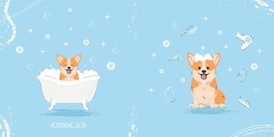 Cute corgi dog in bathtub in flat style. Illustration of pet grooming for content, banner, greeting card. Vector