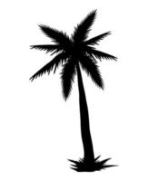 tree palm forest silhouette vector