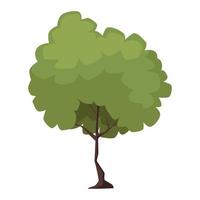 tree plant forest vector