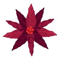 christmas red flower vector