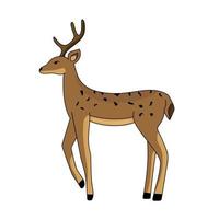 Cartoon deer isolated. Christmas cute deer. Vector illustration