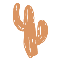 cactus en boho minimaliste et illustration vintage dessinée à la main pour l'élément de conception. png