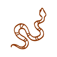 serpent en boho minimaliste et illustration vintage dessinée à la main pour l'élément de conception. png