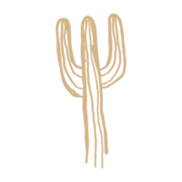 cactus in minimalist boho and vintage hand drawn illustration for design element. png