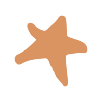 estrella en boho minimalista e ilustración dibujada a mano vintage para elemento de diseño. png