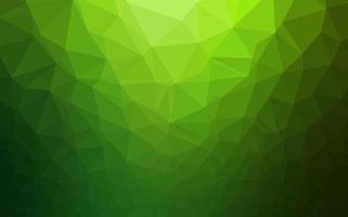 Light Green vector low poly texture.