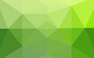 Light Green vector polygonal template.