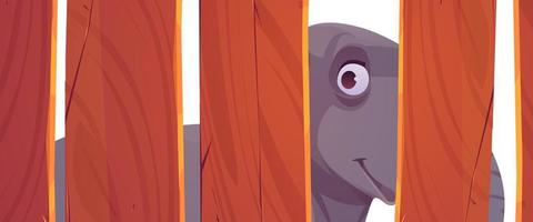 Elephant looks through wooden fence in zoo vector