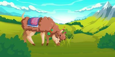 Cute alpaca grazes on meadows in mountains vector