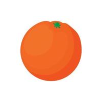 Mandarin icon in cartoon style vector