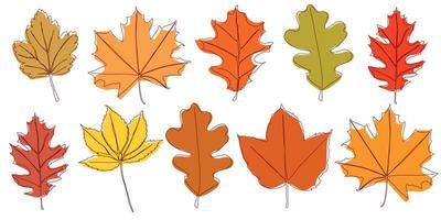 A set of autumn leaves drawn with a continuous line. Autumn leaf in one line style icon vector illustration design.