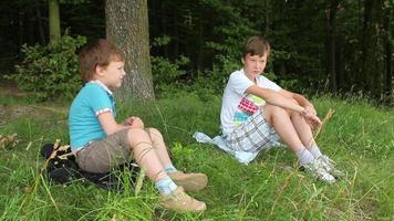 meninos na floresta video