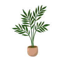 planta de casa em vaso png