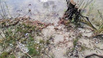 detaillierte nahaufnahme auf wasseroberflächen mit wellen und wellen und das sonnenlicht, das an der oberfläche reflektiert wird video