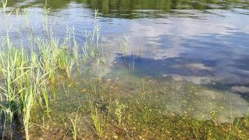 superficie del agua con pequeñas olas que reflejan la luz y las nubes. video