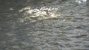 water oppervlakte met klein golven reflecterend licht en wolken. video