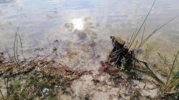 gedetailleerde close-up van wateroppervlakken met rimpelingen en golven en het zonlicht dat weerkaatst aan het oppervlak video