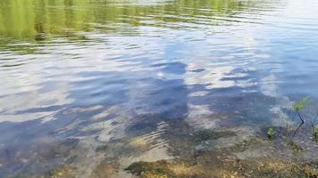 water oppervlakte met klein golven reflecterend licht en wolken. video