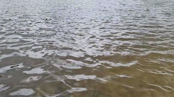 vista detallada de las superficies de agua con ondas y ondas y la luz del sol reflejada en la superficie video