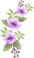 elegante arreglo floral de acuarela púrpura png