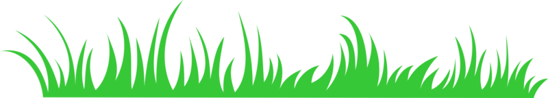 fond transparent d'herbe de dessin animé png