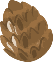 Hand Drawn Pinecone png