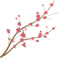 acuarela de flor de sakura png